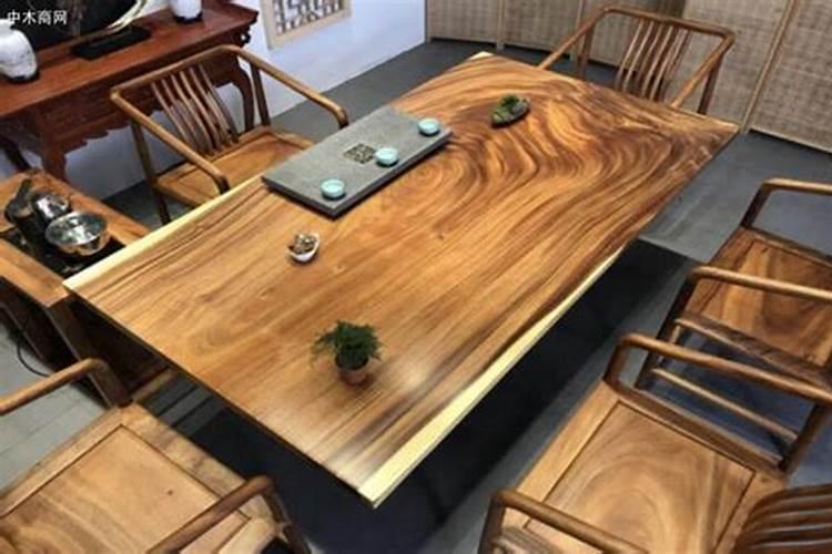 家里养什么绿色植物好