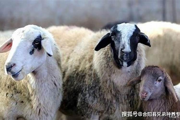 办公室方位风水怎么看？办公室方位风水知识