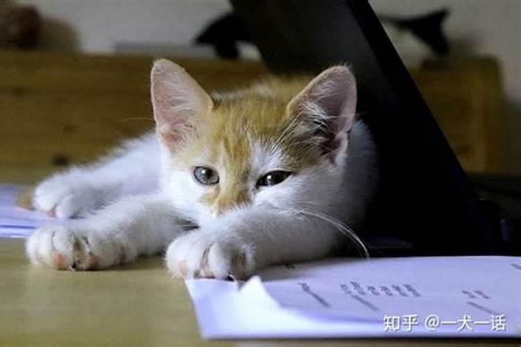 别墅一般有几个卧室？