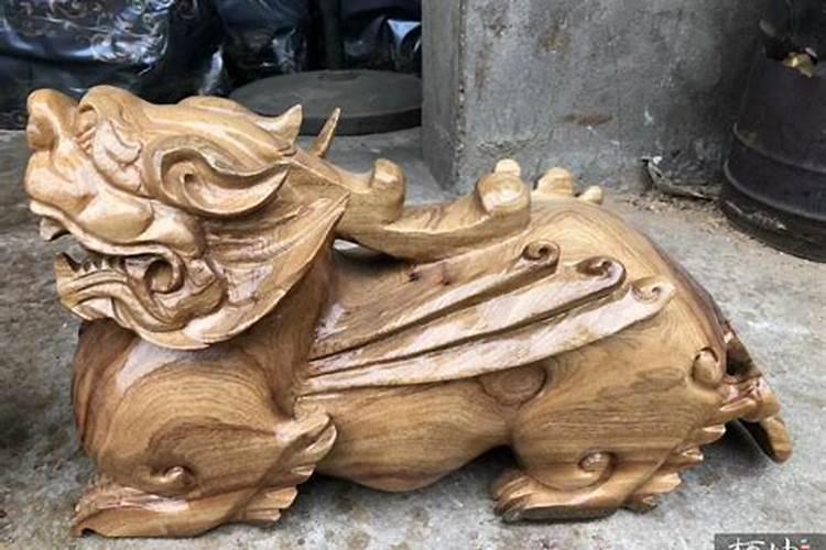 香樟树的风水禁忌