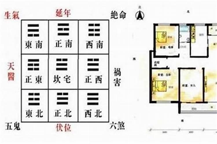 办公室植物风水摆放位置