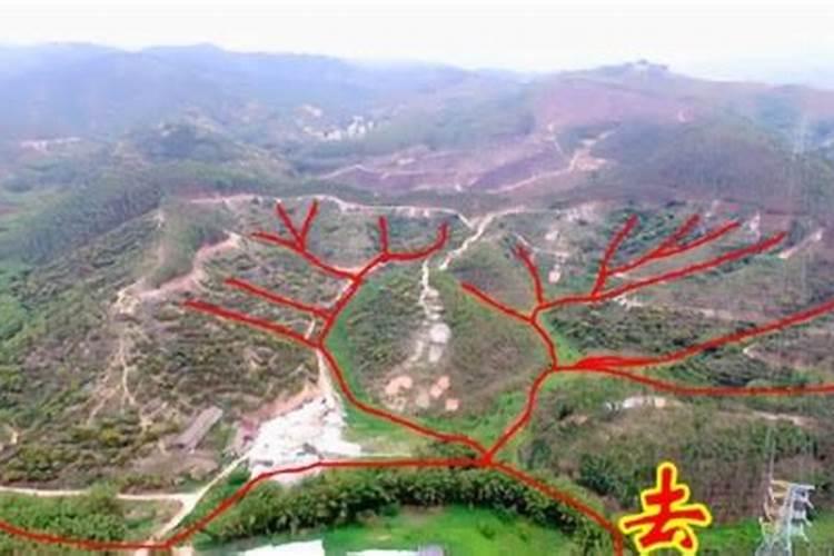 中国现在真正有实战经验的顶级风水专家是谁