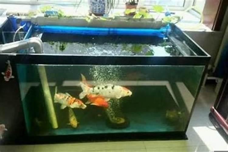 房子装修哪个颜色最高档装修房子什么颜色温馨