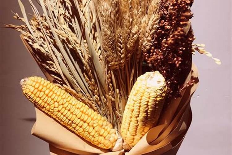 搬家五色粮食应该放在房子的什么地方？
