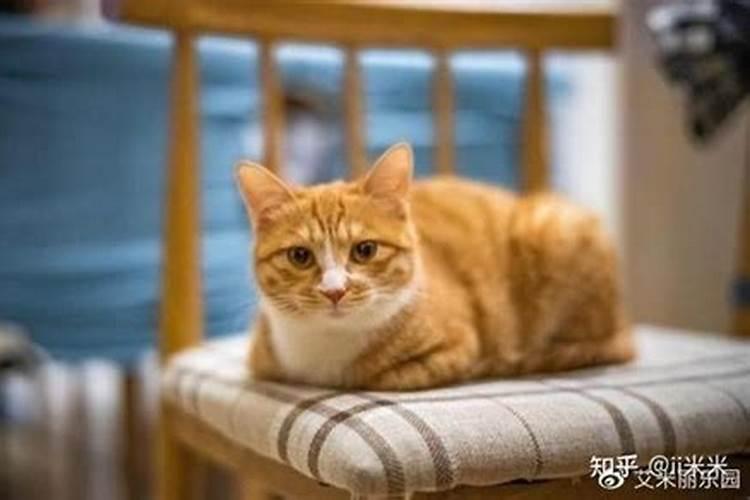 经常变动家居布局容易招来霉运