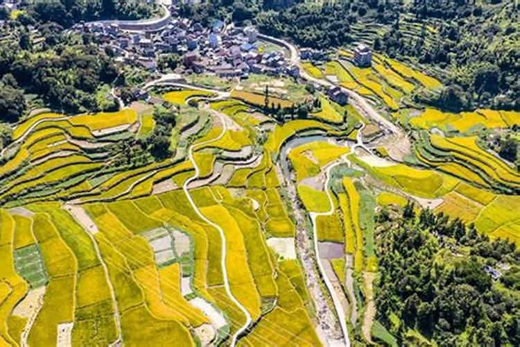 消防不允许商铺搭建阁楼吗
