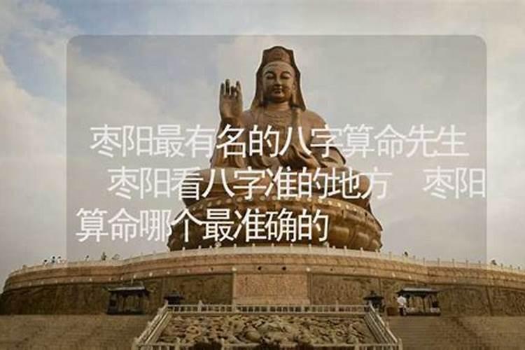 枣阳理想城开发商是？