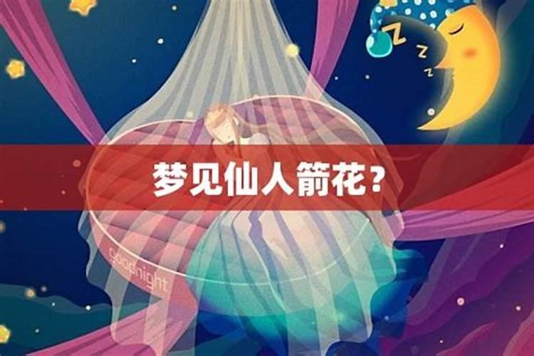 梦见仙人指点
