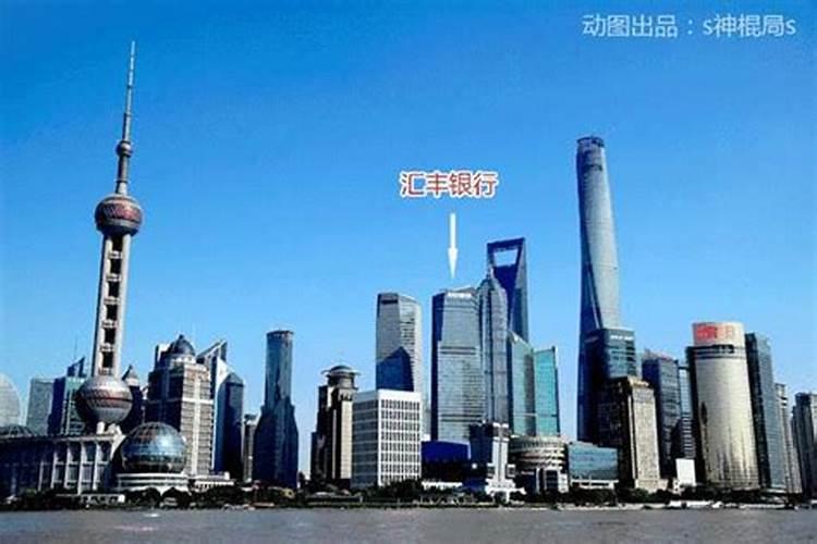 家里什么鱼好养又好看吗