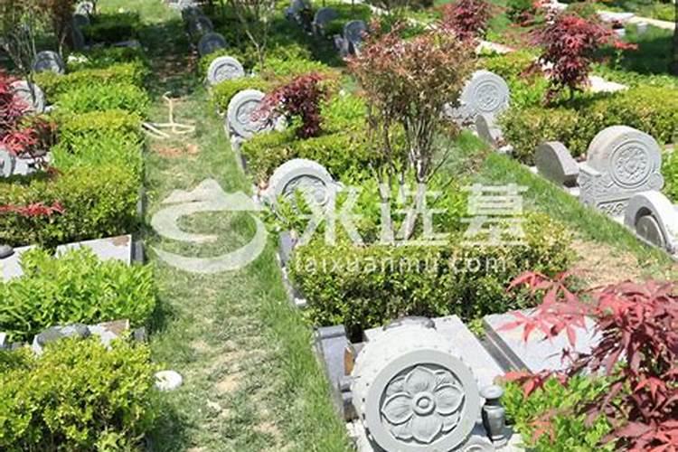 墓地栽树的方位和禁忌 墓地旁种树的禁忌