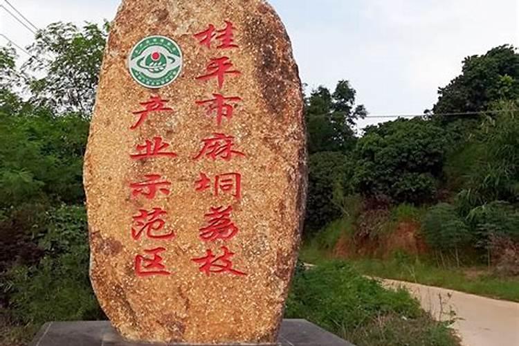 有广西桂平市麻同镇吗？还是桂平市麻同社区