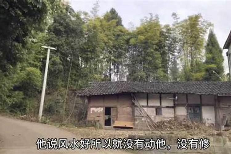 风水先生后代为什么不好