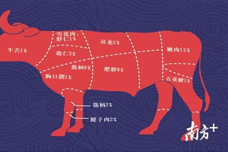 用中式的煮法,牛肉怎么煮最好吃？