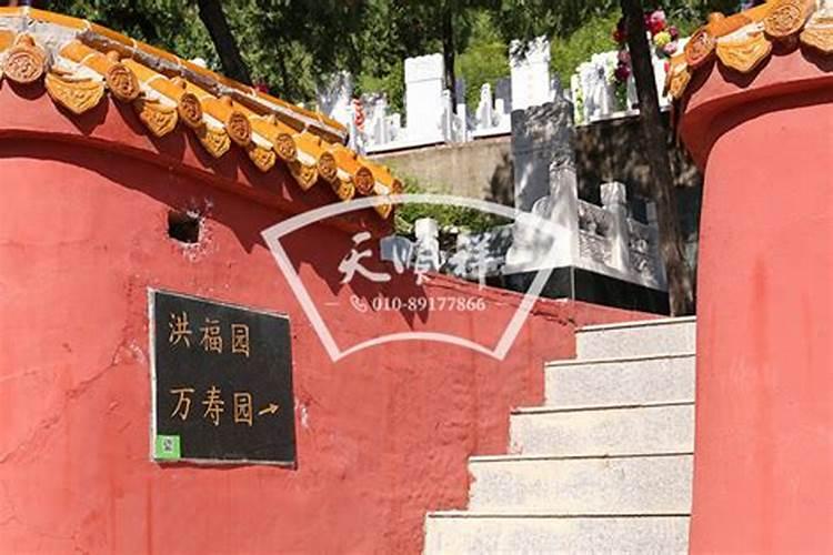 金龙鱼是风水鱼吗