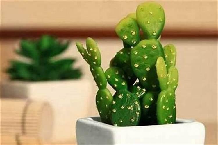 正东户型怎么样