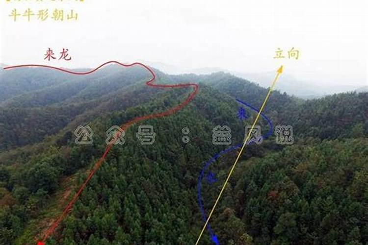风水倒骑龙是啥意思