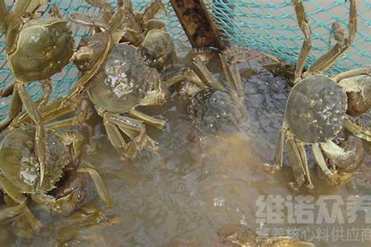 阳宅建在螃蟹地上好不好？