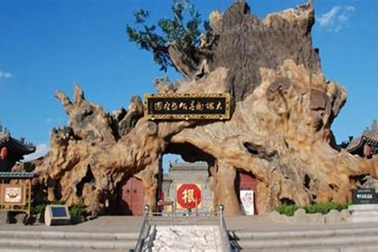 门前有棵槐树吗？风水大师请指教
