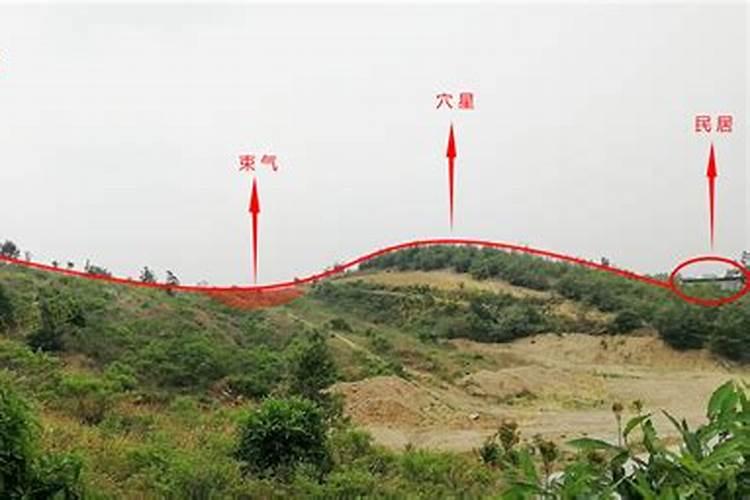 财源广进适合放在客厅哪个方向风水