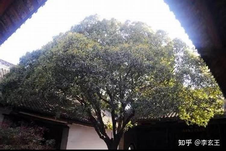 偏僻农村有必要建房吗