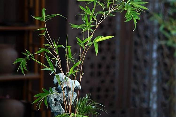 居家风水解析 什么形状的客厅最旺宅