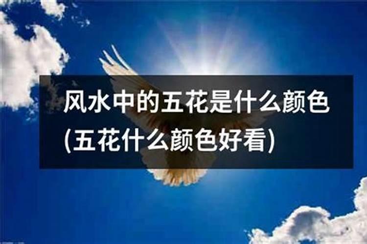 上海普陀区有哪些豪宅