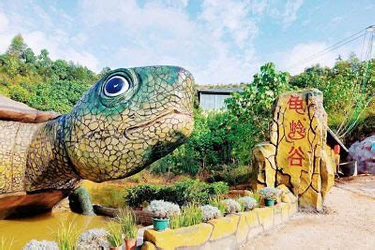 龟形风水宝地出什么人