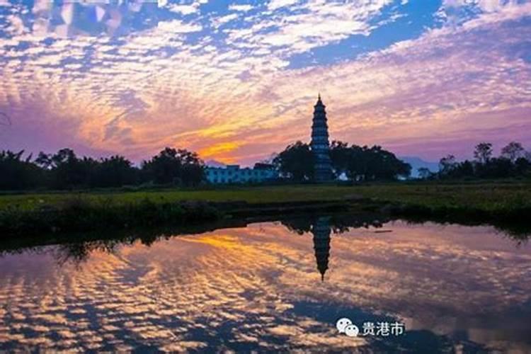 广西贵港樟木镇还有风水宝地吗？