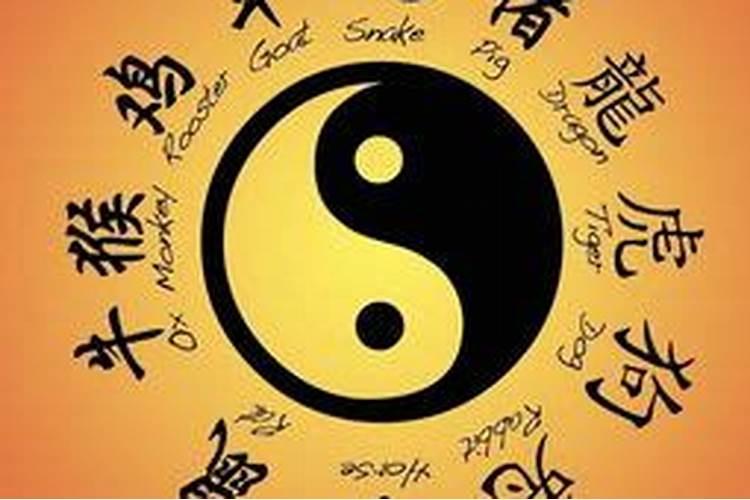 真正的风水师都会些什么吗