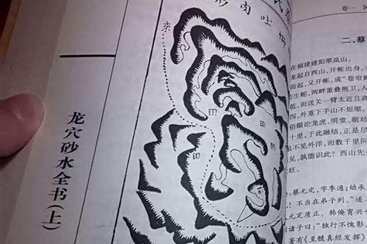 上海十大公墓上海墓地陵园有哪些上海公墓大全