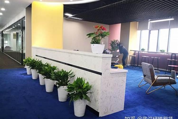 公司前台风水布局有什么讲究