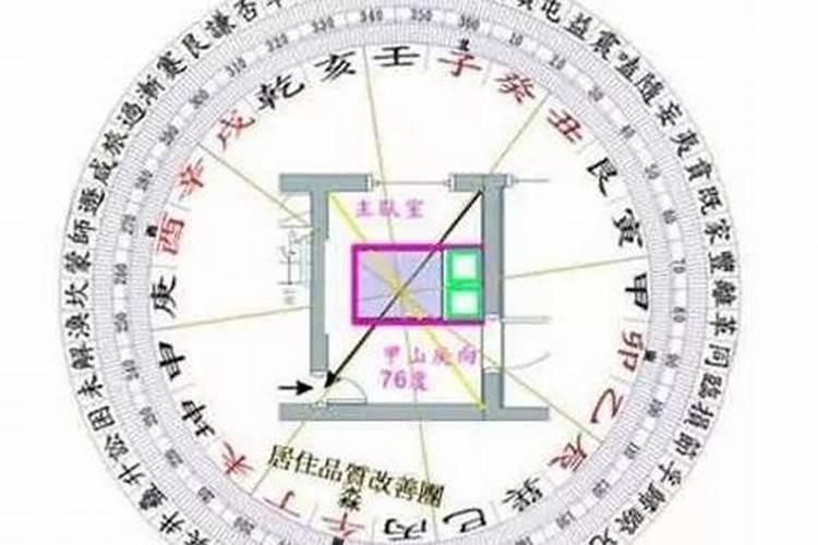 公司大门口栽什么树好风水
