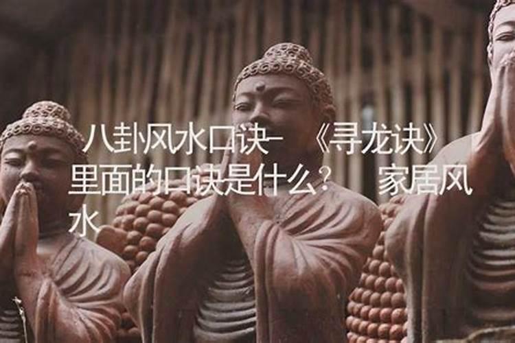 全国四大牡丹基地是那四个地方