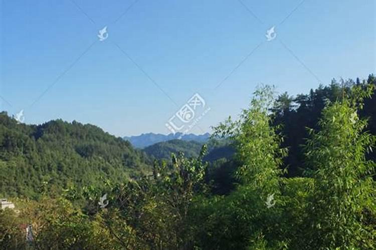 庭院风水鱼池好吗 有什么风水讲究