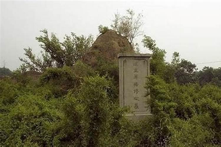 家里摆放玩具树可以吗家里能否摆放假树