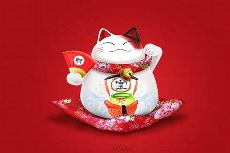 花架放在哪个地方合适