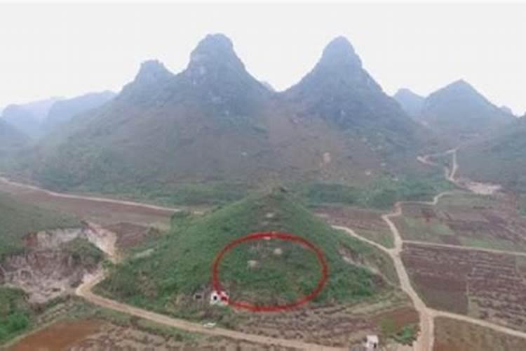 横县镇龙山最高峰海拔是多少？