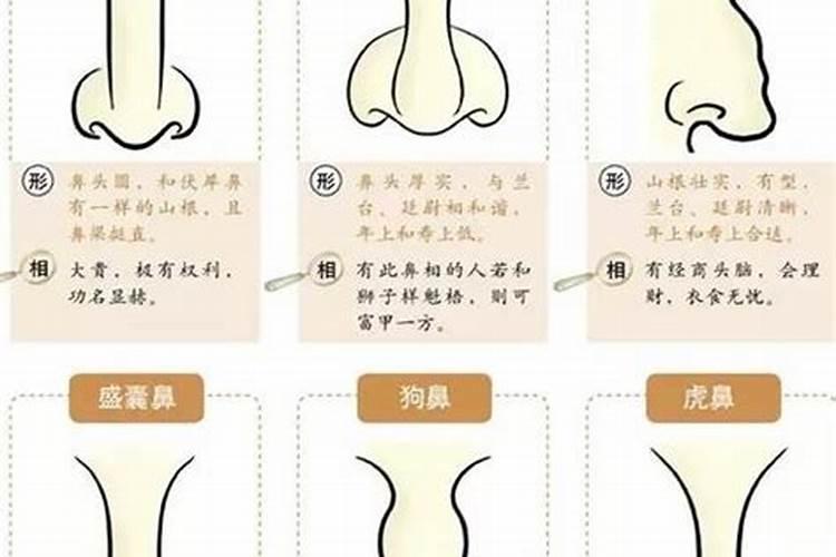 鼻子在风水学上,在面相上到底有什么讲究,为什么所有的风水大师都不让...