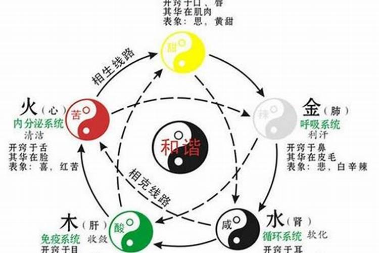 龙游天下续集剧情