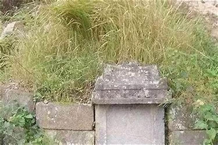 大六壬可以预测什么