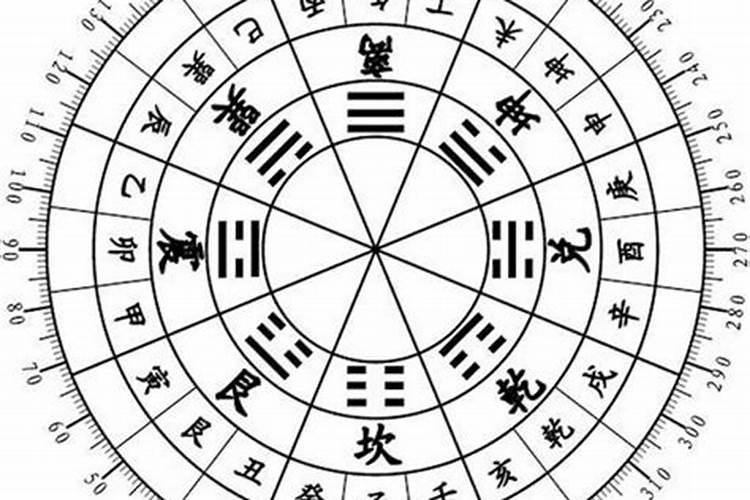 兰花摆放哪里招财,摆放家中哪个位置旺财风水好