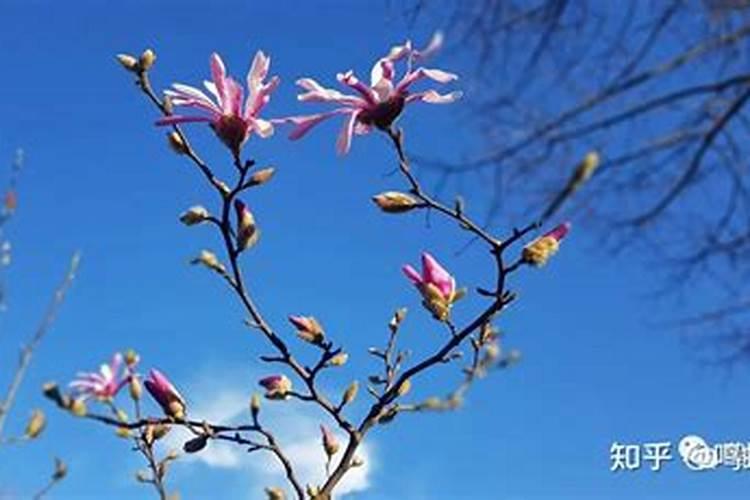 木火通明是什么意思