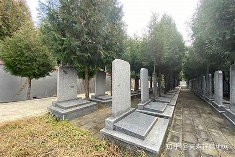 怎么看墓地风水才最好地不能够挑选在低洼位置上