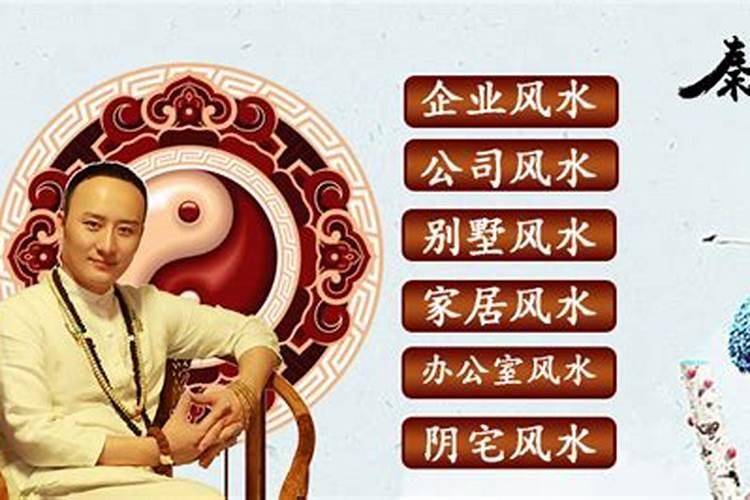 猫可以一直养在阳台吗