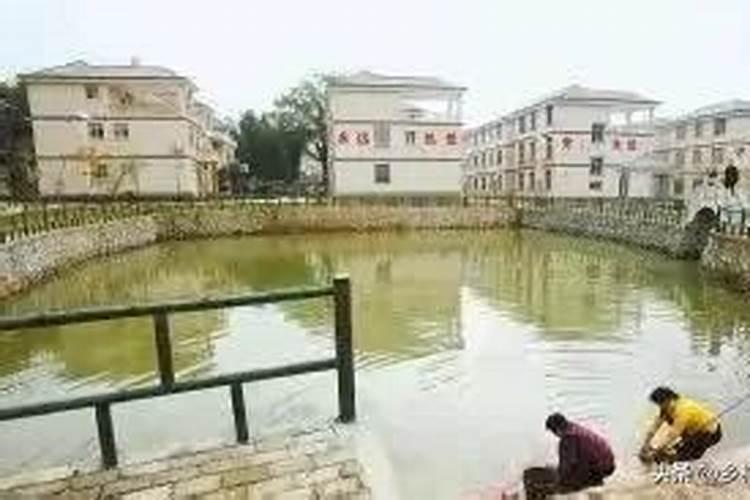 办公楼前有水塘的风水好吗