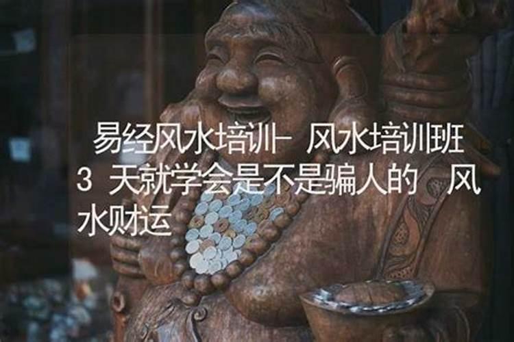 植物风水:详解钱串子花的风水作用