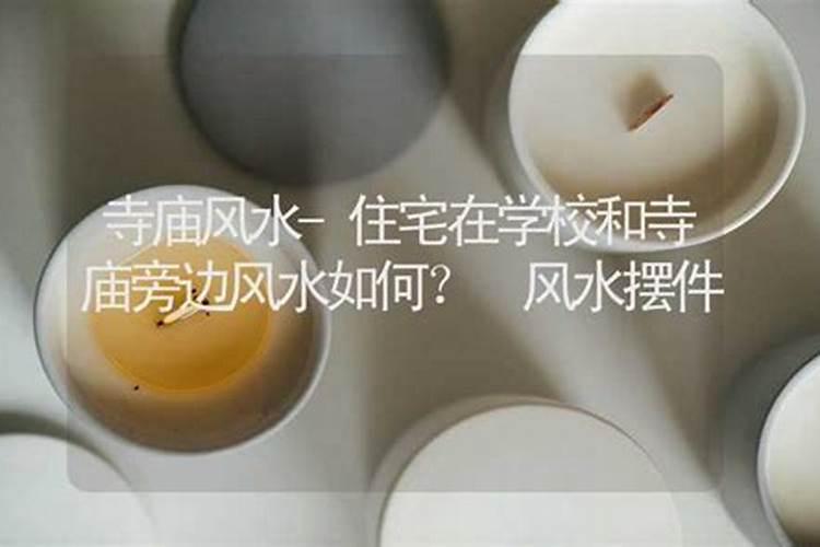 买什么车最旺财运最好