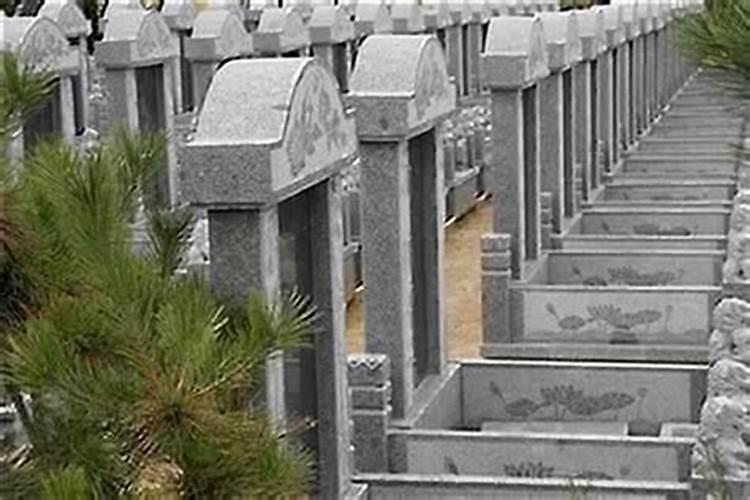 墓地风水宝地六个标准怎么选号