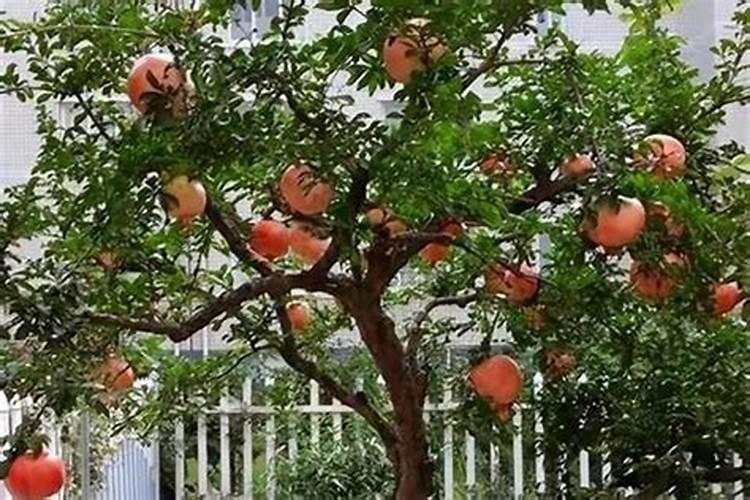 从印度饮食做为切入点,观察印度人的性格和其民族性？大家看法？