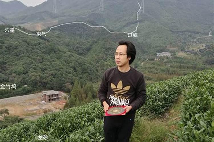 客厅摆什么假花好看